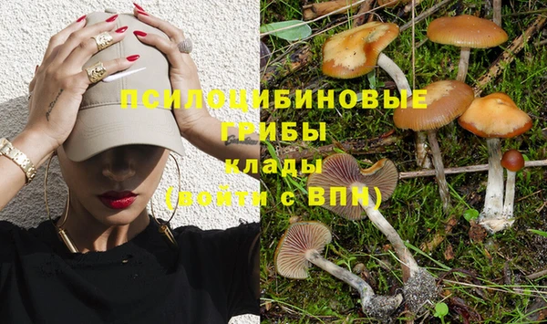 наркотики Зерноград