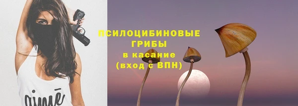 синтетический гашиш Зеленодольск