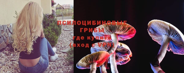 a pvp Зеленокумск