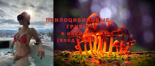 наркотики Зерноград